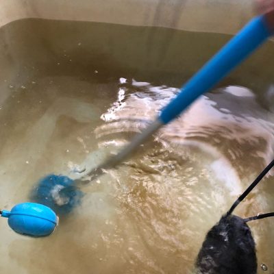 38c91177-dc2c-4096-a593-e76ac6b752d5